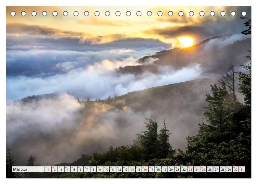 InsideView 10