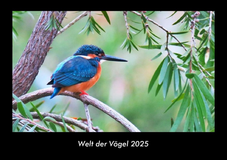 Welt der Vögel 2025 Fotokalender DIN A3 - Tobias Becker