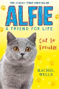 Alfie Cat In Trouble - Rachel Wells