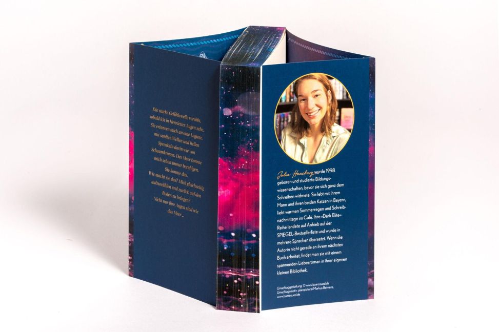 InsideView 2