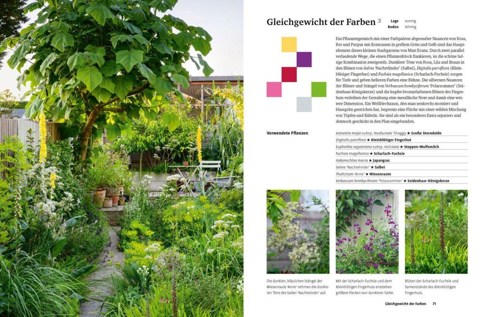 InsideView 5