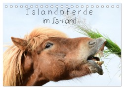 Cover-Bild zum Titel 'Islandpferde im Isi-Land (Tischkalender 2026 DIN A5 quer), CALVENDO Monatskalender' von 'Klaus Gerken'