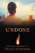 Cover-Bild zum Titel 'Undone (Encounters, #3)' von 'Paula Wiseman'
