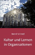 Cover-Bild zum Titel 'Kultur und Lernen in Organisationen' von 'Bernd Schmid'