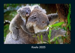 Cover-Bild zum Titel 'Koala 2025 Fotokalender DIN A4' von 'Tobias Becker'