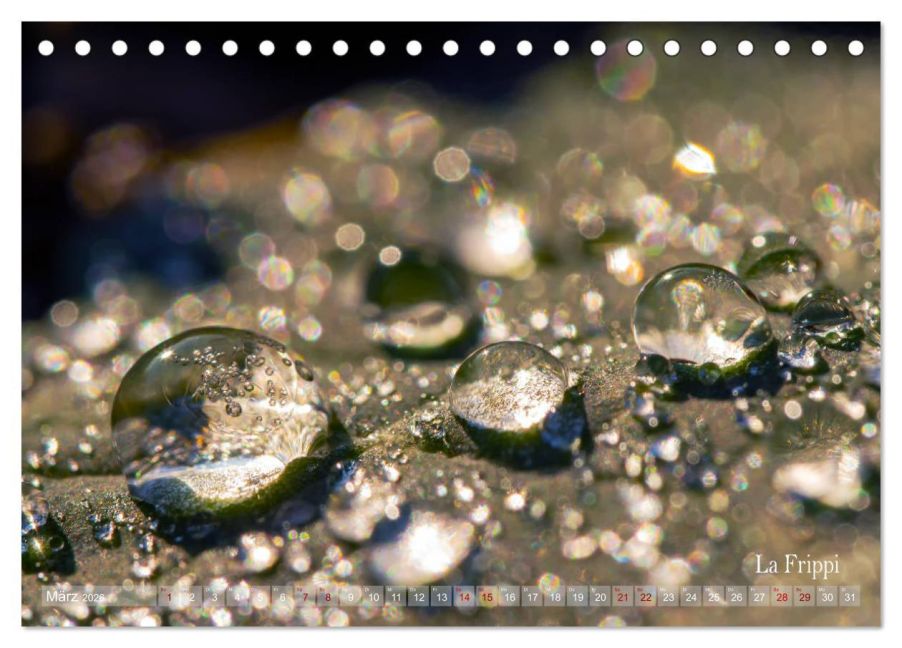 InsideView 8