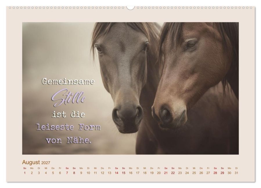 InsideView 13
