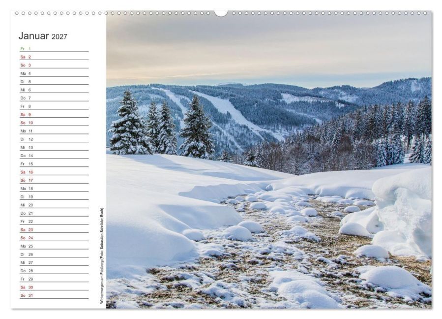 InsideView 6