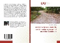 Cover-Bild zum Titel 'Accessibilite aux soins de santé moderne au grand nord du Cameroun' von 'Pierre Chance Bakang'