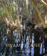 Cover-Bild zum Titel 'In the Swampyland' von 'Joan Brooks Baker'