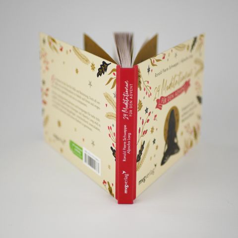InsideView 3
