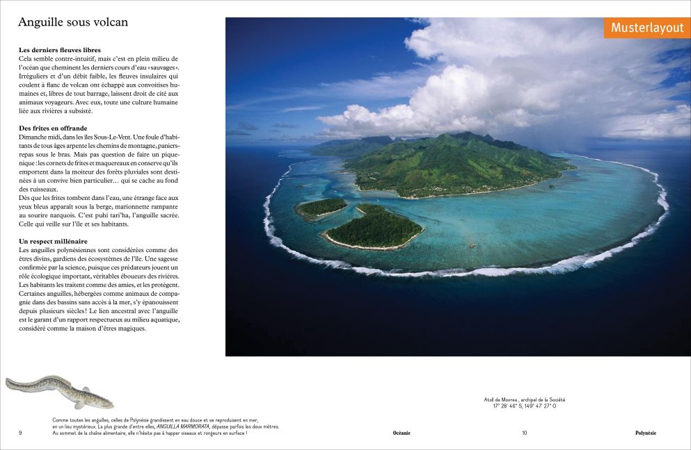InsideView 6