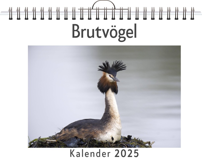 Brutvögel - (Wandkalender 2025, Kalender DIN A4 quer, Monatskalender im Querformat mit Kalendarium, das perfekte Geschenk) - Olivia Lange