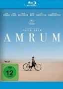 Cover-Bild zum Titel 'Amrum' von 'Fatih Akin, Hark Bohm, Hainbac H'