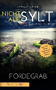 Cover-Bild zum Titel 'NICHT AUF SYLT - Mord im Rest des Nordens [Küstenkrimi] Band 5' von 'Svarlen Edhor'