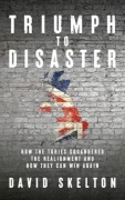 Cover-Bild zum Titel 'Triumph to Disaster' von 'David Skelton'