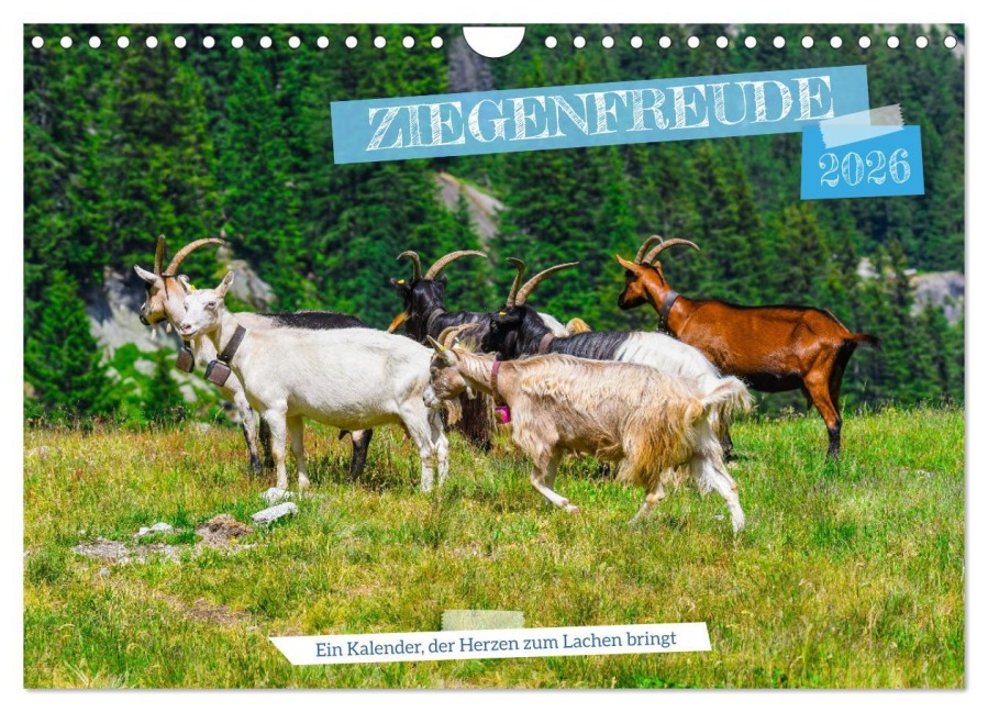 Ziegenfreude (Wandkalender 2026 DIN A4 quer), CALVENDO Monatskalender - RenaldoCaumont RenaldoCaumont