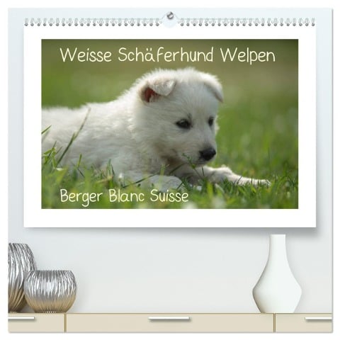 Weisse Schäferhund Welpen - Berger Blanc Suisse (hochwertiger Premium Wandkalender 2025 DIN A2 quer), Kunstdruck in Hochglanz - Tanja Riedel