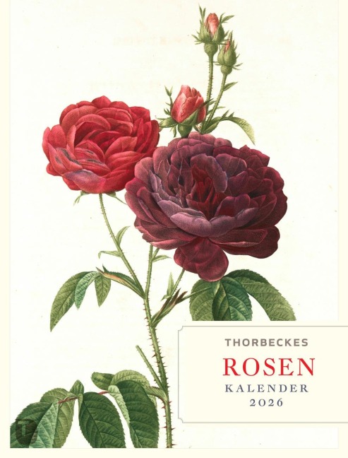 Thorbeckes Rosen-Kalender 2026 - 