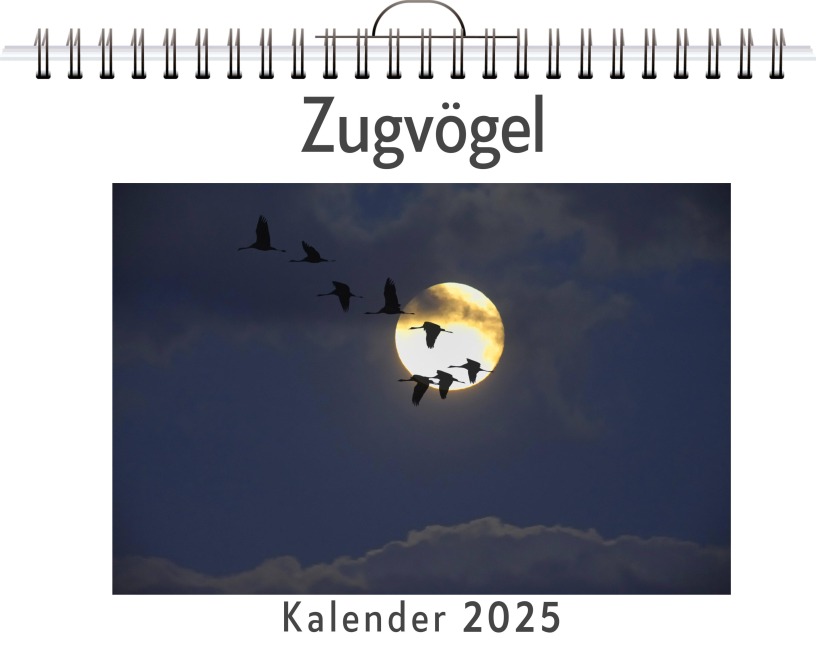 Zugvögel - Hannah Vogel