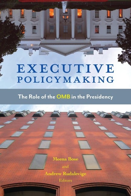 Executive Policymaking - 