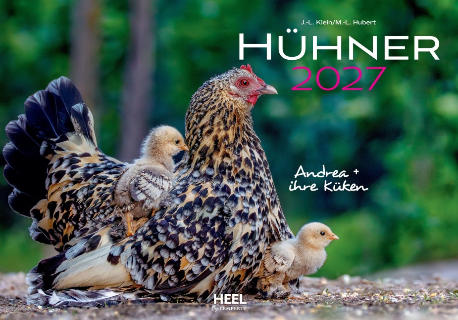 Hühner Kalender 2027 - J. -L. Hubert Klein