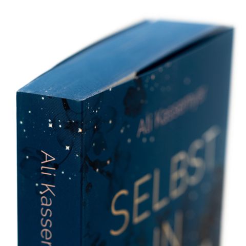 InsideView 4
