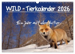 Cover-Bild zum Titel 'WILD - Tierkalender 2026 (Wandkalender 2026 DIN A3 quer), CALVENDO Monatskalender' von 'Marco Colombo'