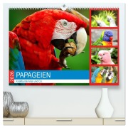 Papageien. Knallbunte Aras und Co. (hochwertiger Premium Wandkalender 2026 DIN A2 quer), Kunstdruck in Hochglanz - Rose Hurley