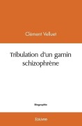 Cover-Bild zum Titel 'Tribulation d'un gamin schizophrène' von 'C. Velluet'