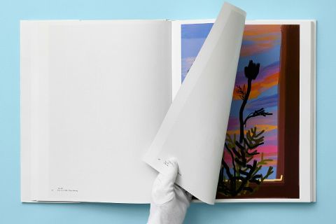 InsideView 5