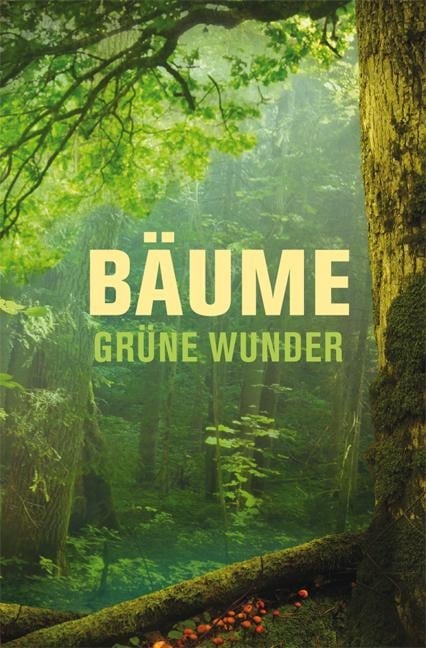 Bäume - grüne Wunder - Katrin Pieper