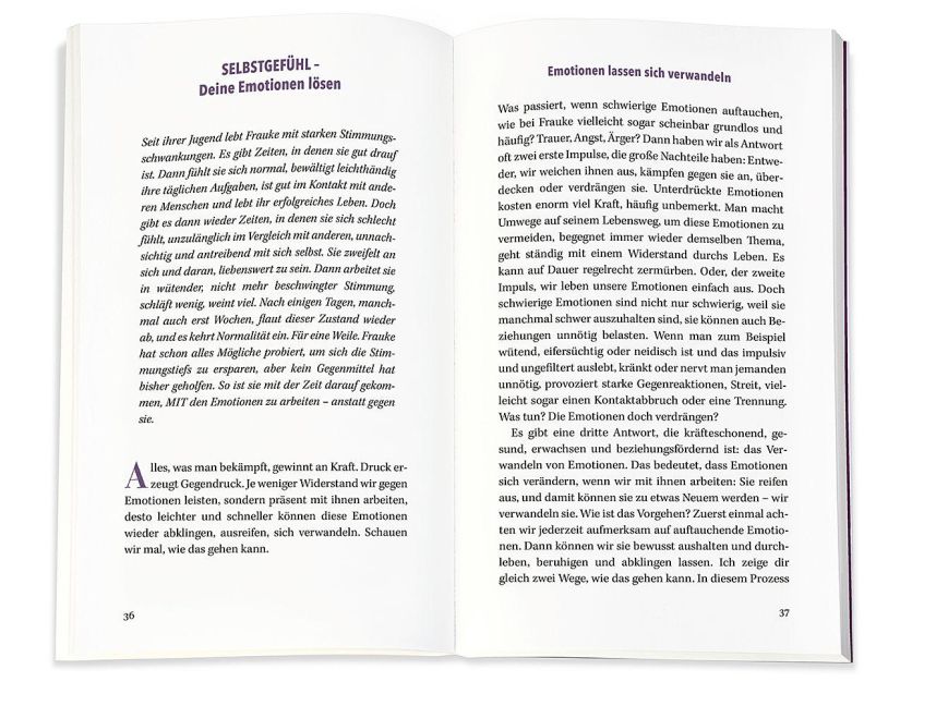 InsideView 4