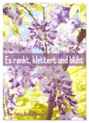 Es rankt, klettert und blüht (Wandkalender 2026 DIN A4 hoch), CALVENDO Monatskalender - Gisela Kruse