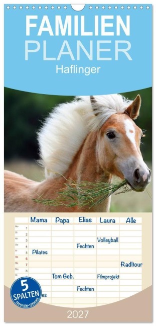 Familienplaner 2027 - Haflinger mit 5 Spalten (Wandkalender, 21 x 45 cm) CALVENDO - Nicole Noack
