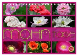 Mohn Tage (Tischkalender 2026 DIN A5 quer), CALVENDO Monatskalender - Martina Cross