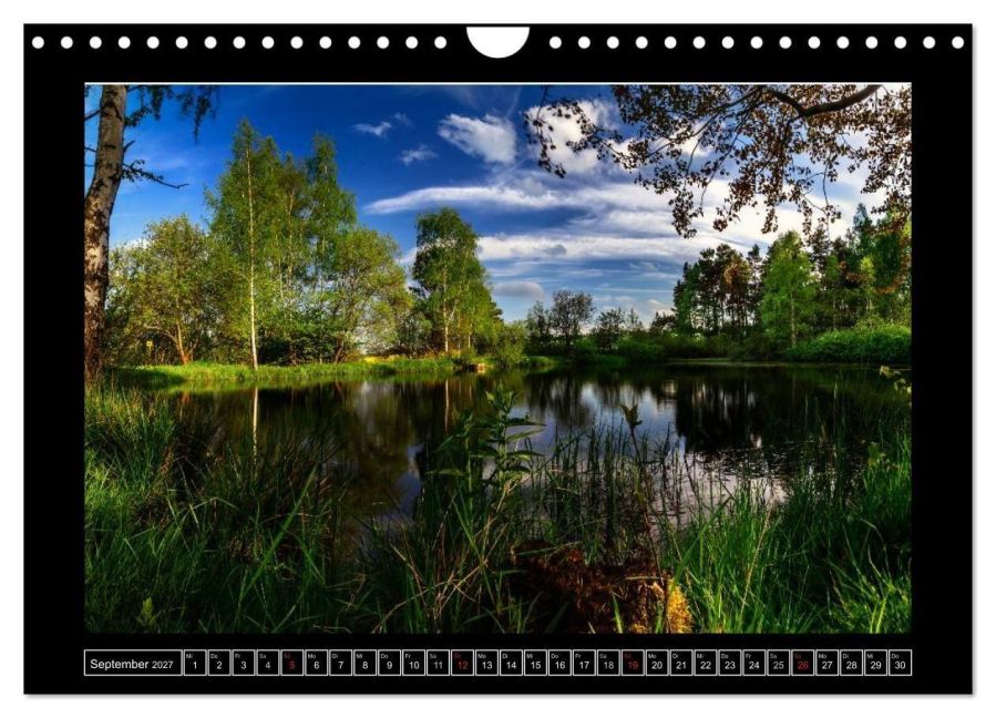 InsideView 14