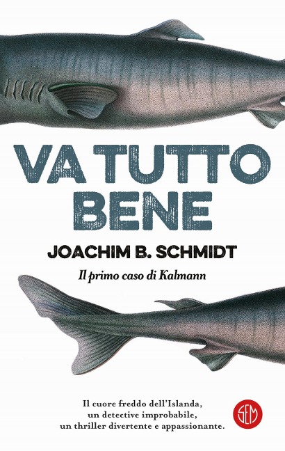 Va tutto bene. Il primo caso di Kalmann - Joachim B. Schmidt