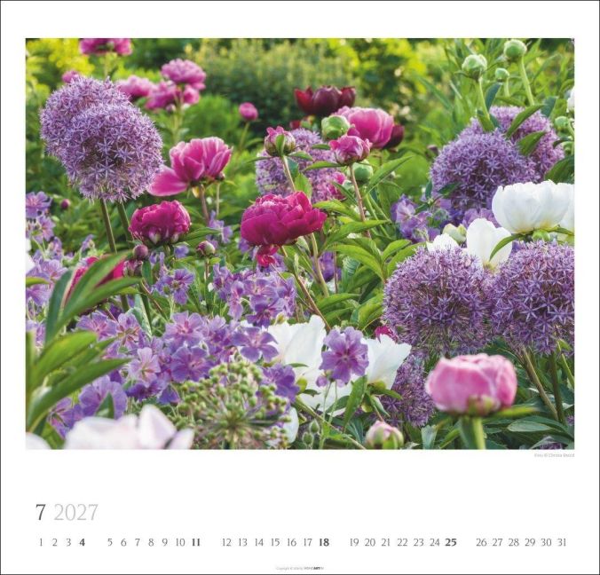 InsideView 7