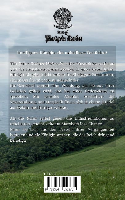 InsideView 1