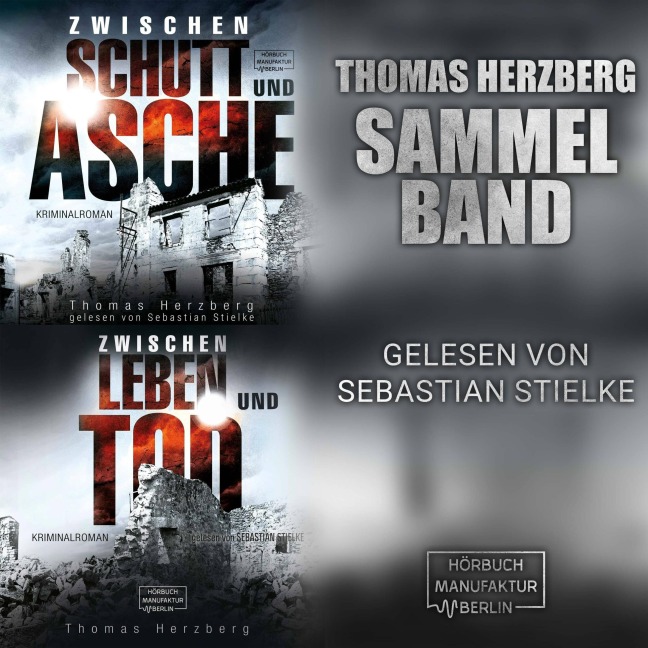 Hamburg in Trümmern - Sammelband - Thomas Herzberg