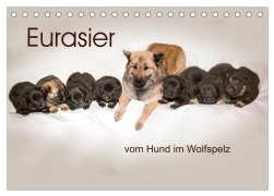 Cover-Bild zum Titel 'Eurasier, der Hund im Wolfspelz (Tischkalender 2026 DIN A5 quer), CALVENDO Monatskalender' von 'Peter Überall'