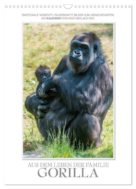 Emotionale Momente: Aus dem Leben der Familie Gorilla. (Wandkalender 2026 DIN A3 hoch), CALVENDO Monatskalender - Ingo Gerlach GDT