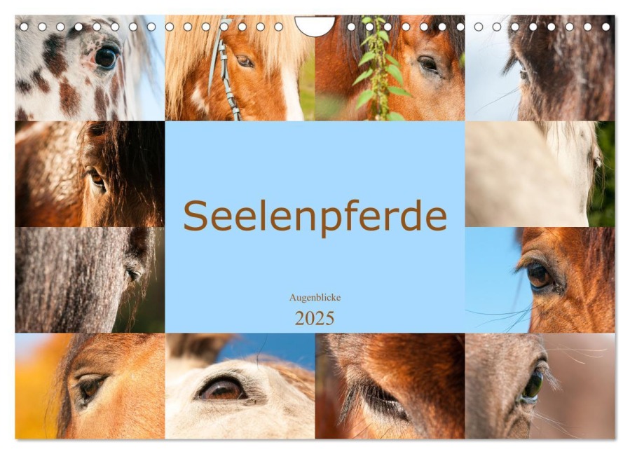 Seelenpferde - Augenblicke (Wandkalender 2025 DIN A4 quer), CALVENDO Monatskalender - Meike Bölts