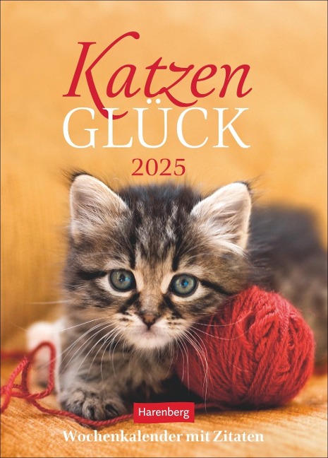 Katzenglück Wochenkalender 2025 - mit Zitaten - 