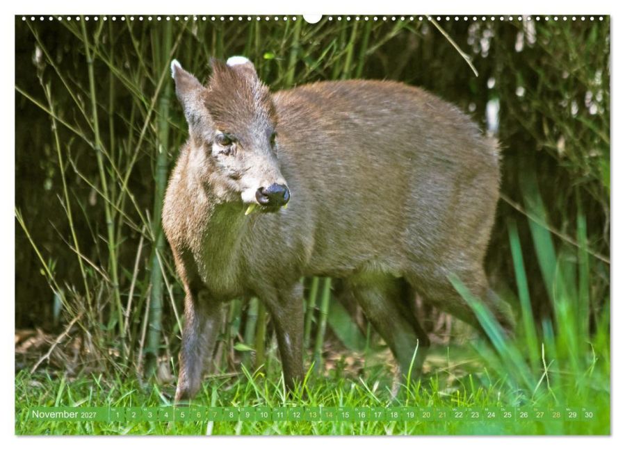 InsideView 3