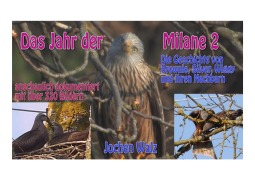 Cover-Bild zum Titel 'Das Jahr der Milane 2' von 'Jochen Walz'
