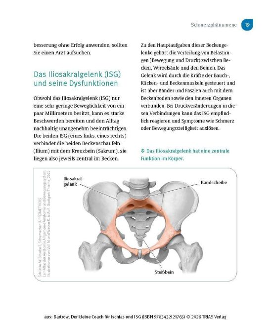InsideView 13