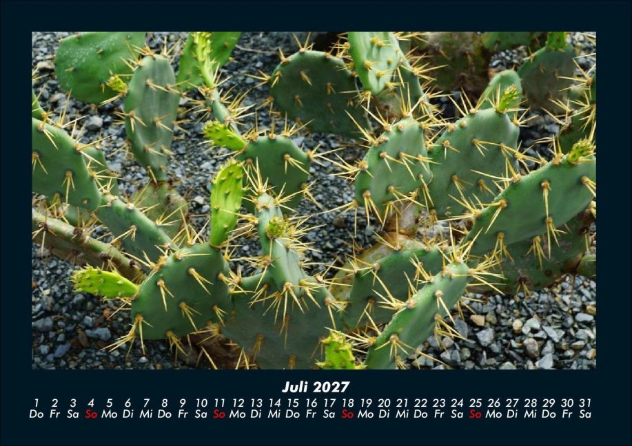 InsideView 11