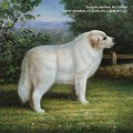 Cover-Bild zum Titel 'Vmak' von 'Douglas Andrew McCombs'